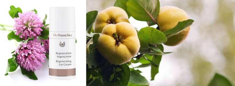 Quince seed brings balance and moisture to the Regenerating Eye Cream.
